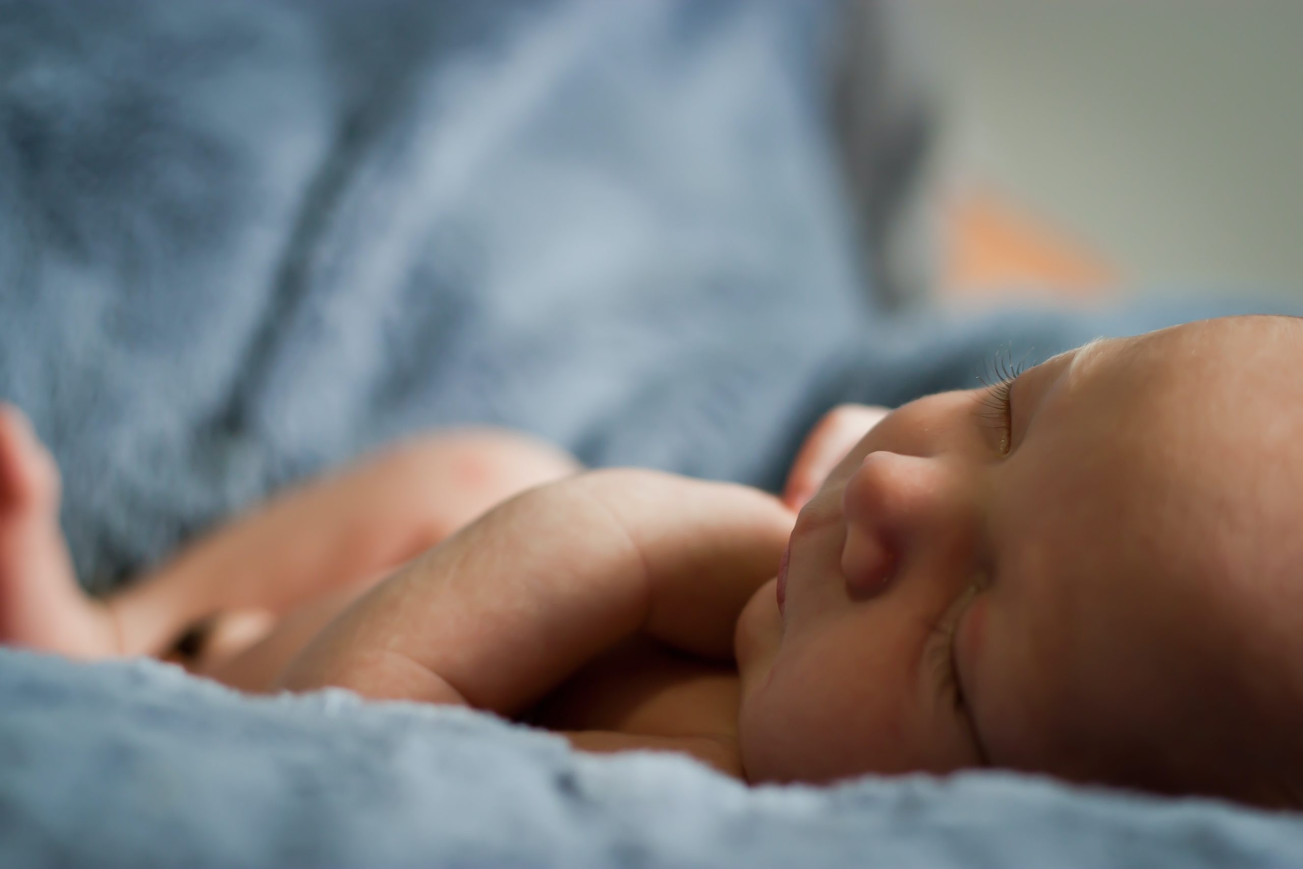 carlo-navarro-WCbCRXk7nmU-unsplash carlo-navarro-WCbCRXk7nmU-unsplash