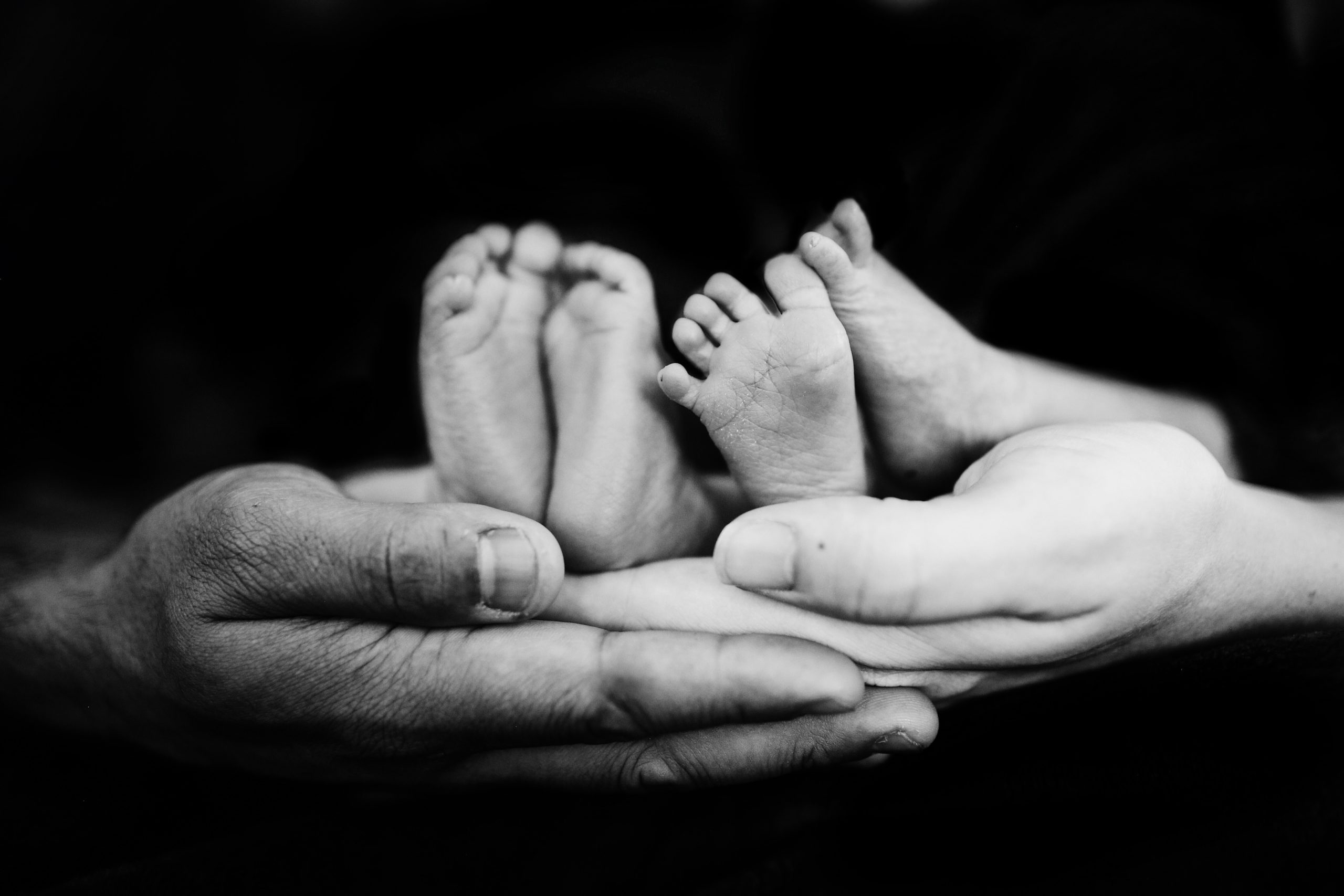 fallon-michael-2Lg36hSFaWw-unsplash fallon-michael-2Lg36hSFaWw-unsplash