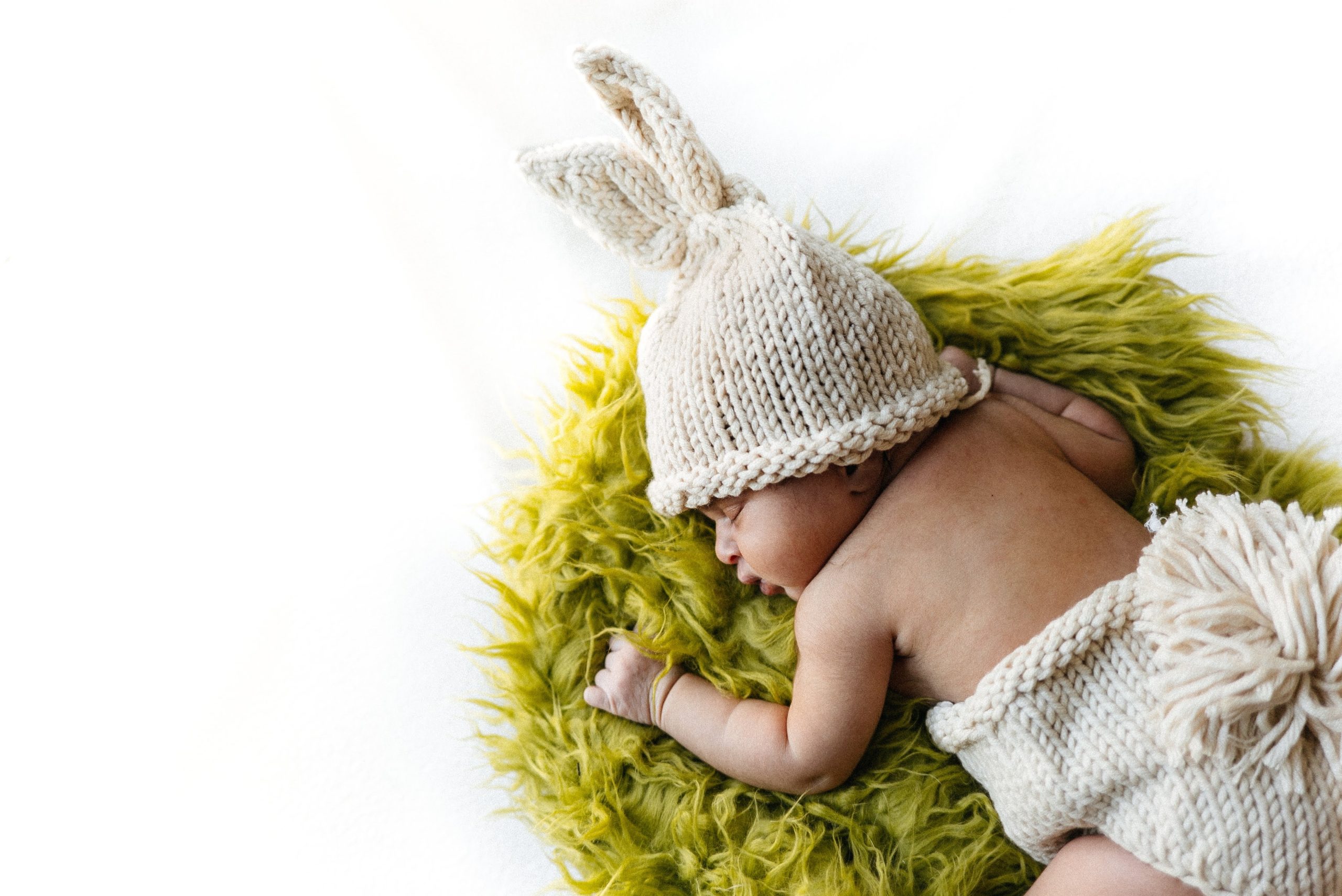 gigin-krishnan-5arky4TZZ0Y-unsplash gigin-krishnan-5arky4TZZ0Y-unsplash