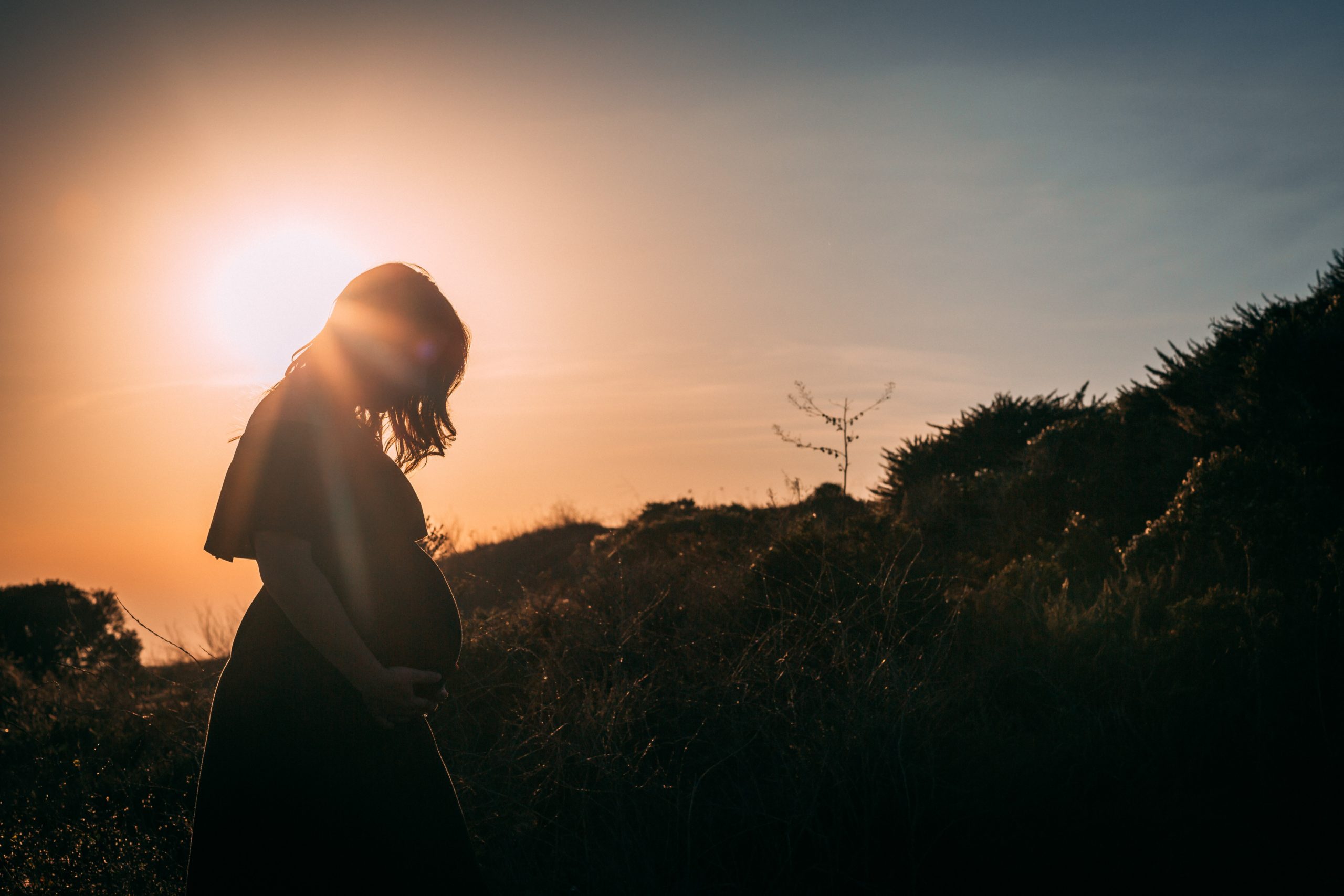 josh-bean-tOtv6CvnJec-unsplash josh-bean-tOtv6CvnJec-unsplash