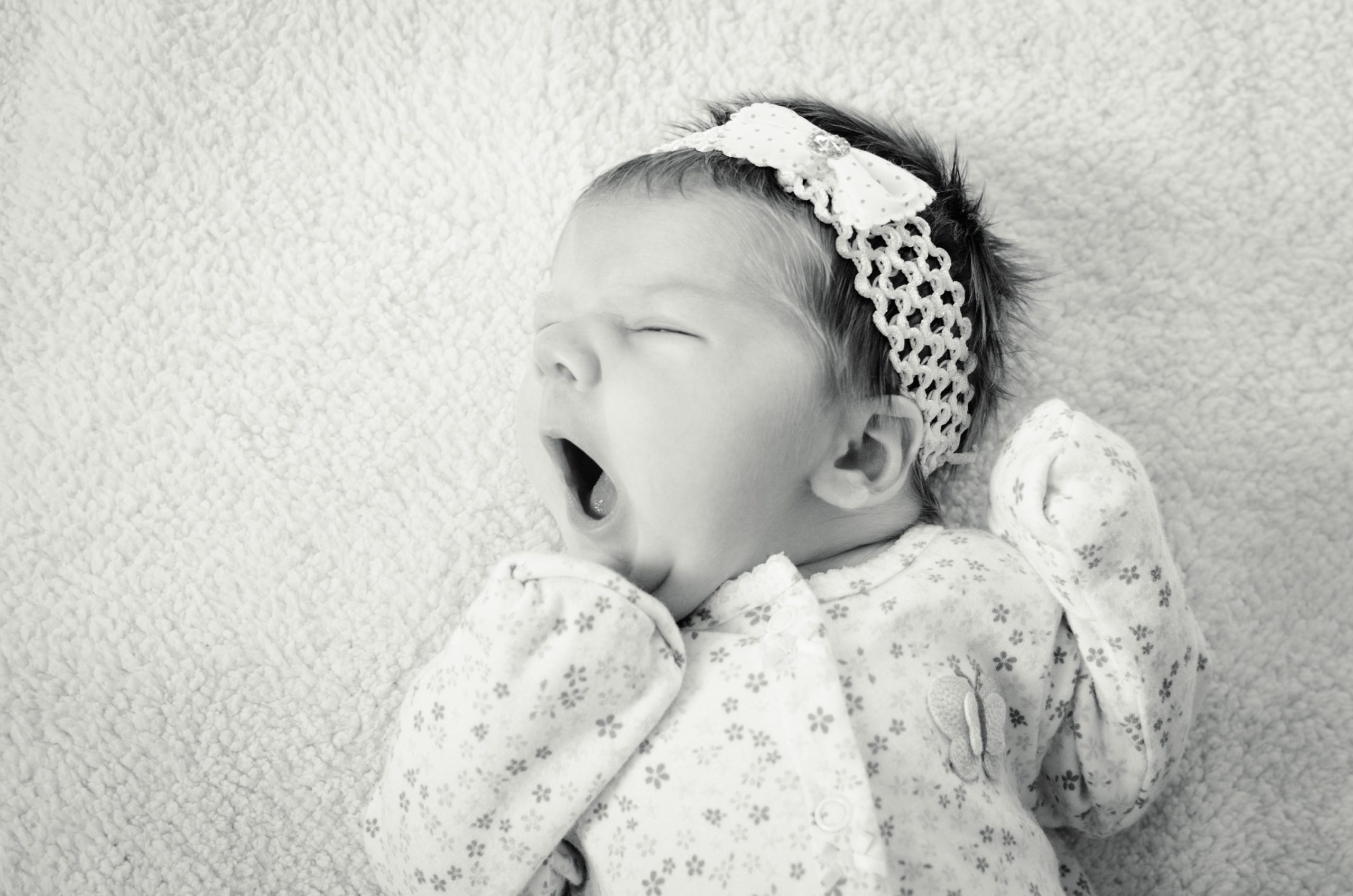 kelly-sikkema-t53nC7J6Y0E-unsplash kelly-sikkema-t53nC7J6Y0E-unsplash