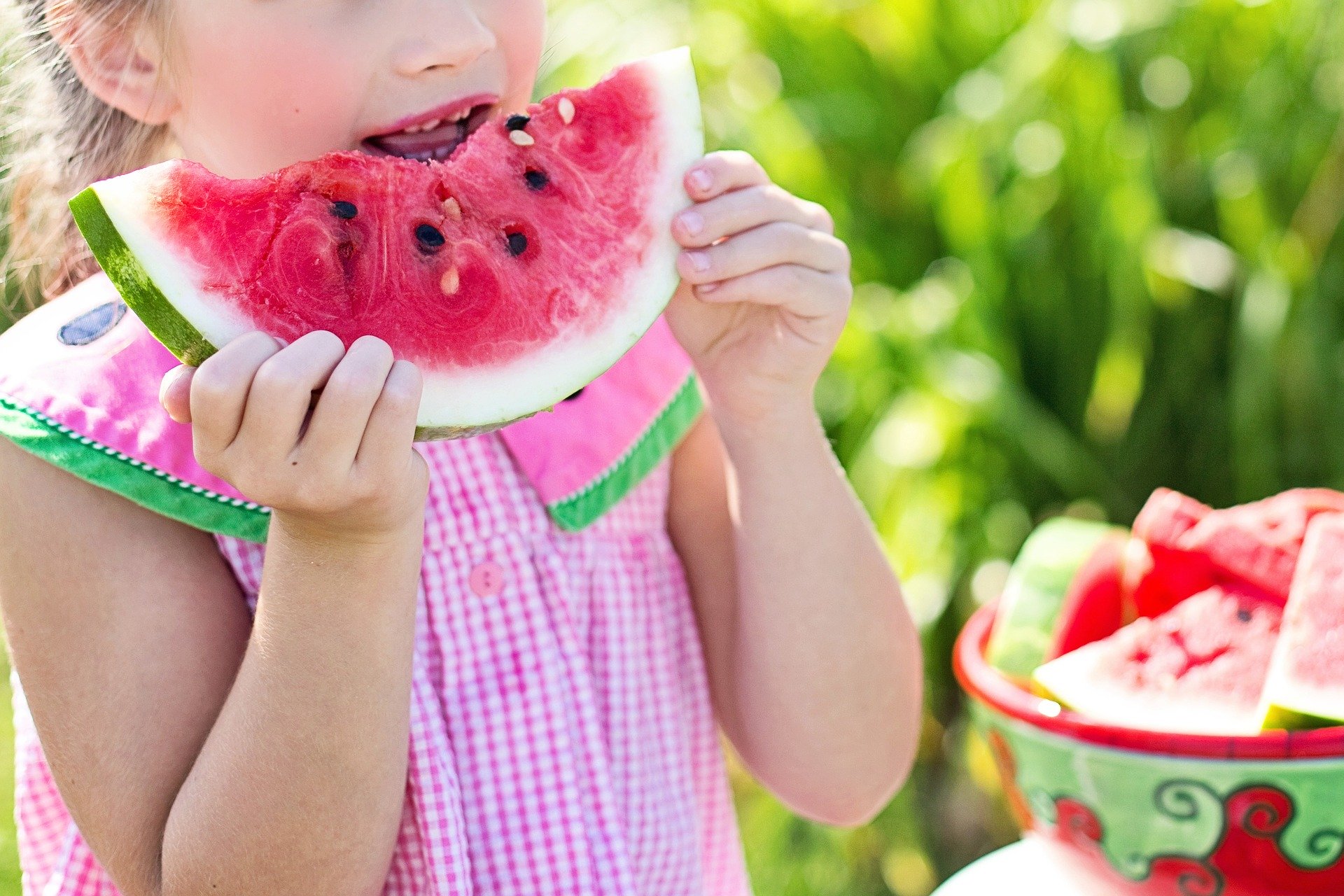 watermelon-846357_1920 watermelon-846357_1920